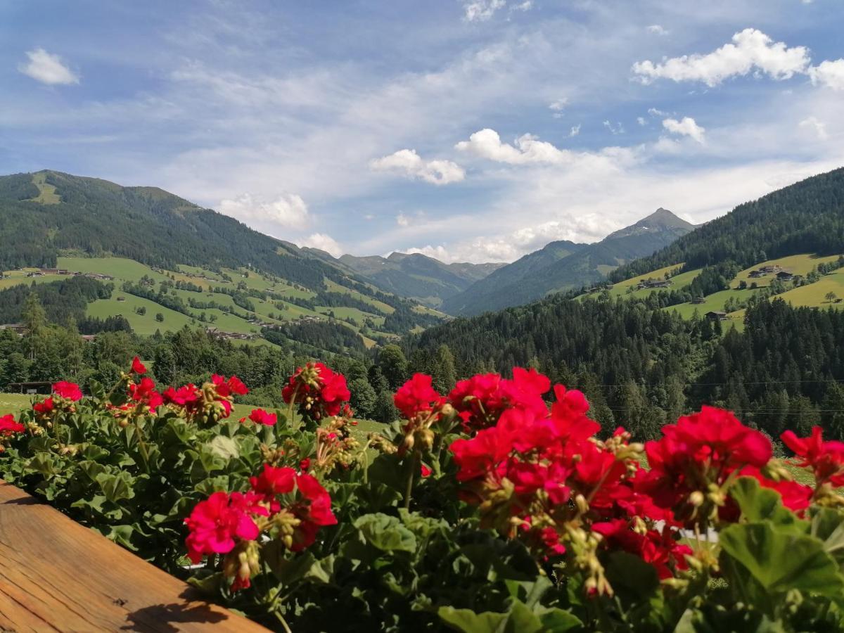 Haus Schmetterling Lägenhet Alpbach Exteriör bild
