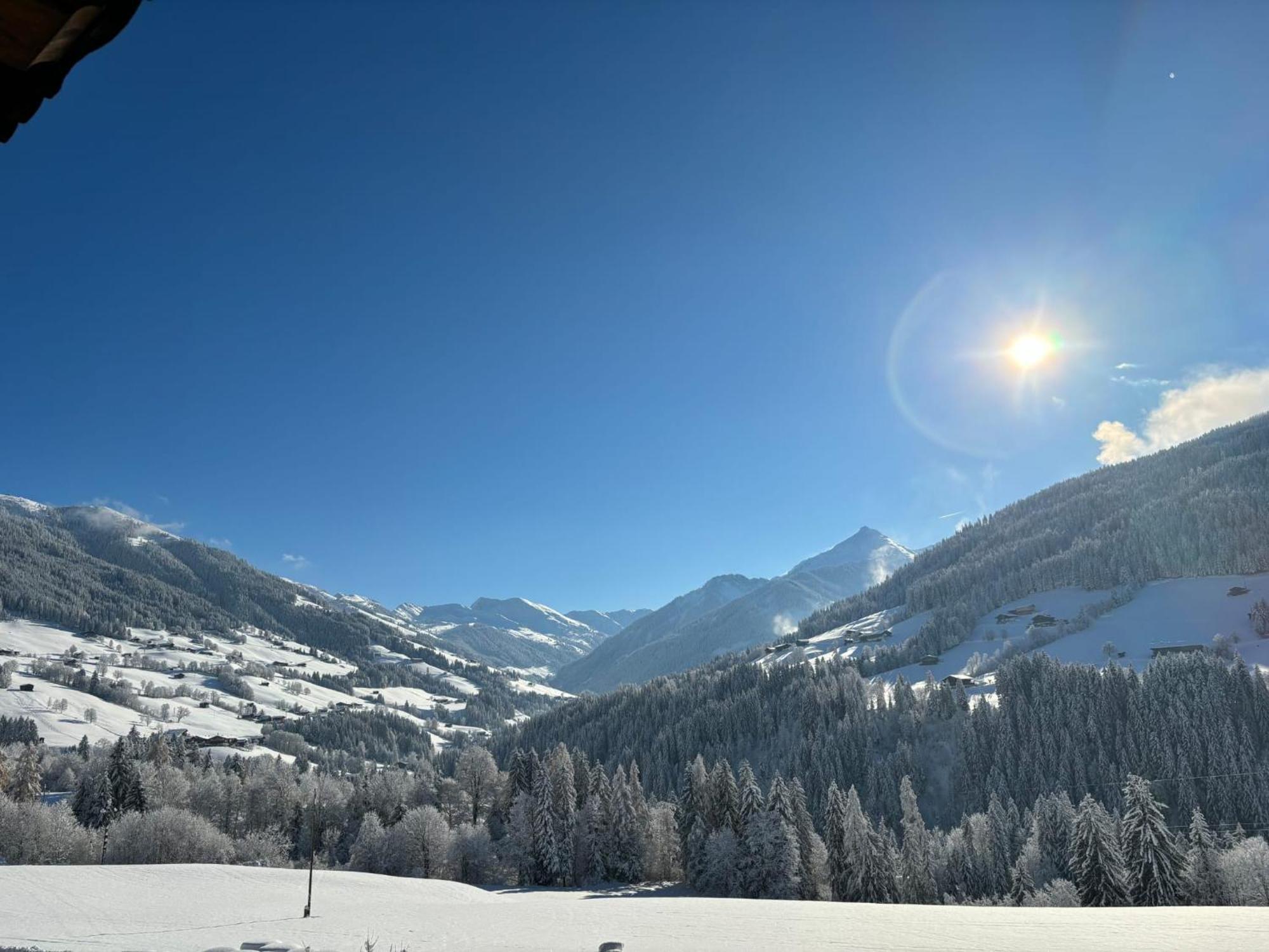 Haus Schmetterling Lägenhet Alpbach Exteriör bild