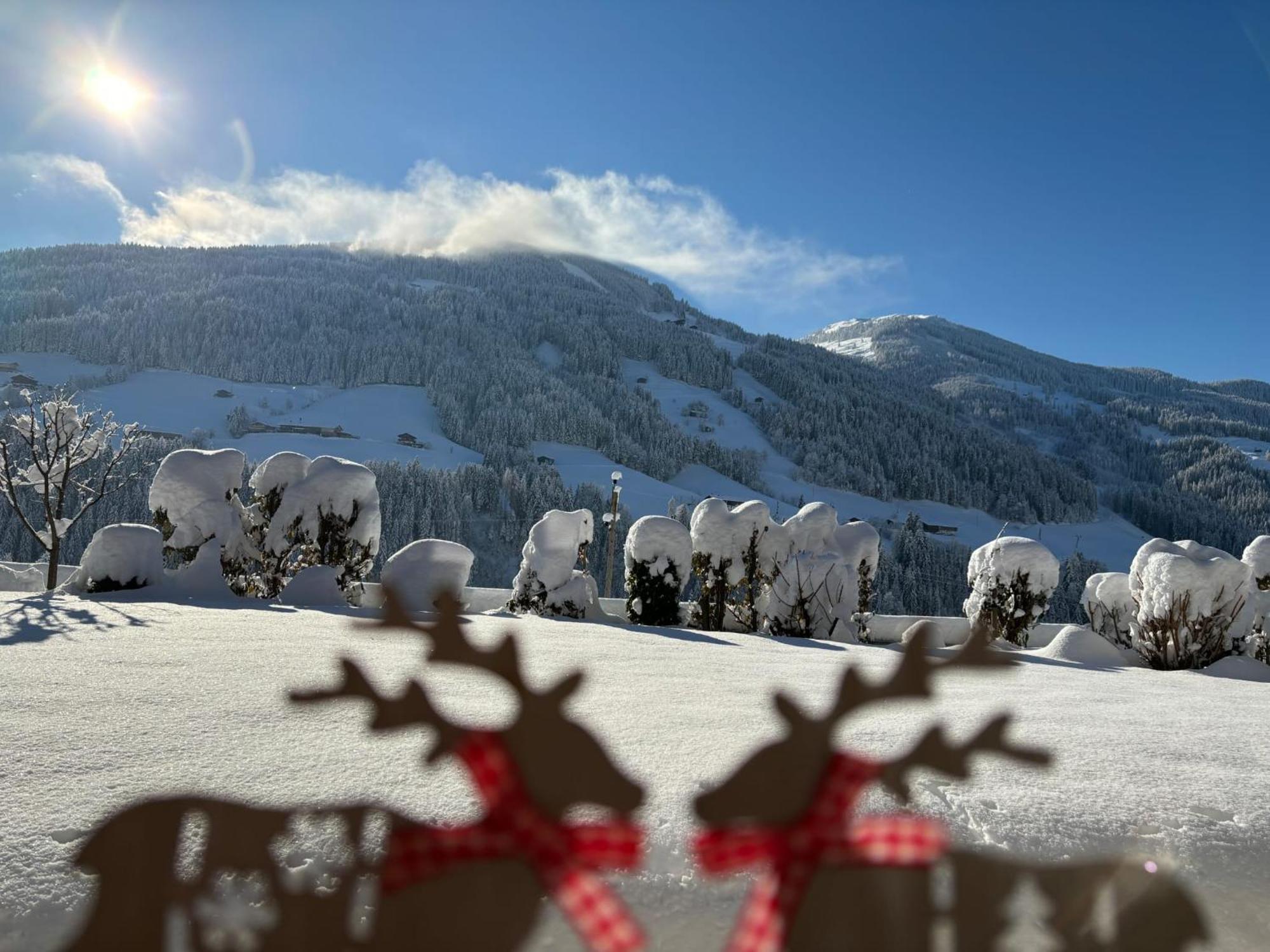 Haus Schmetterling Lägenhet Alpbach Exteriör bild