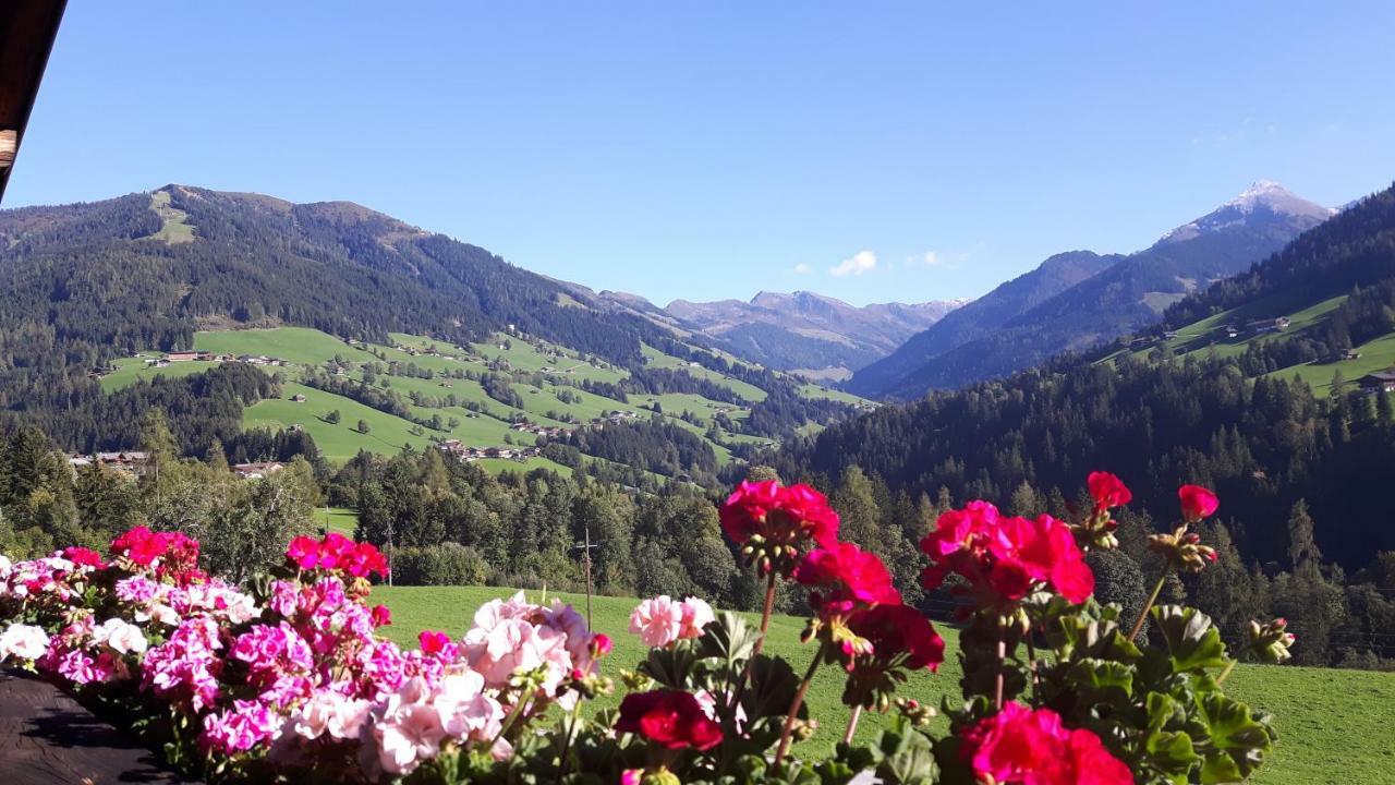 Haus Schmetterling Lägenhet Alpbach Exteriör bild