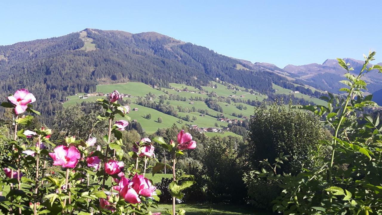 Haus Schmetterling Lägenhet Alpbach Exteriör bild